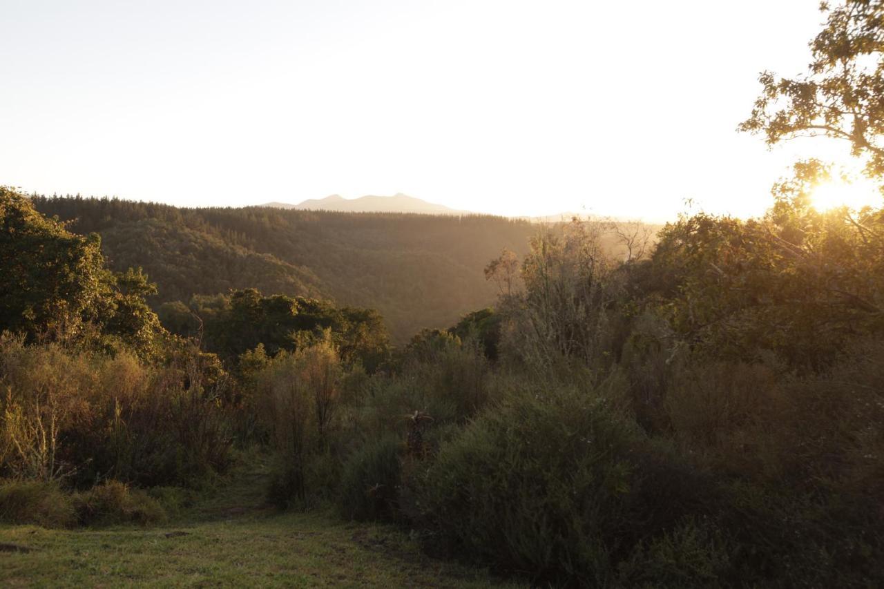 Forest Hills Villa Knysna Eksteriør billede